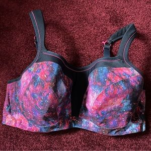 Nwot 38f panache sports bra